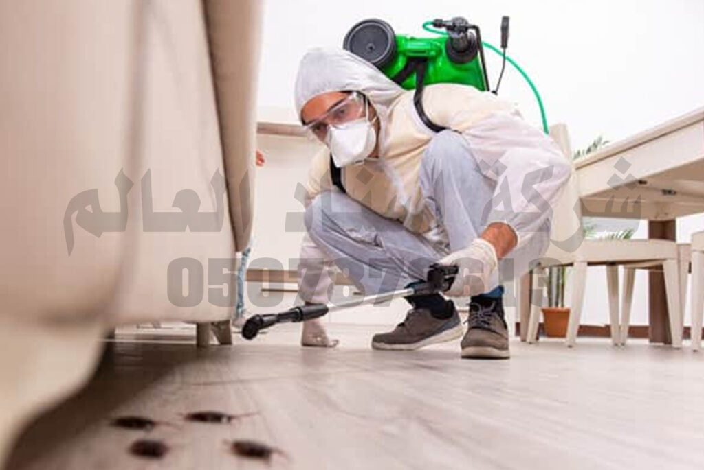 شركة مكافحة حشرات بالجبيل
