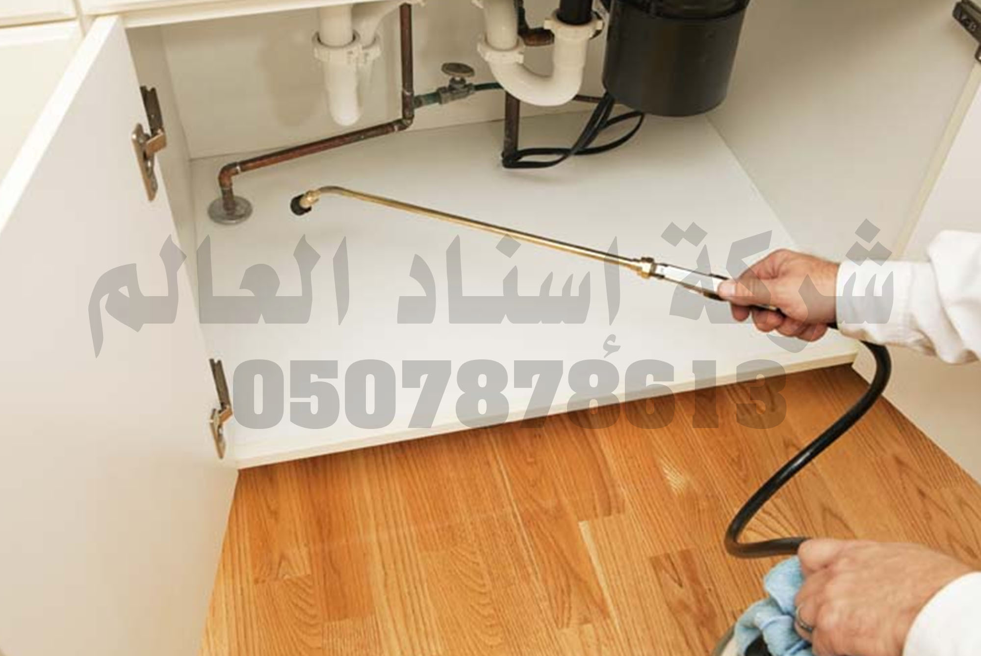 شركة مكافحة حشرات بالأحساء