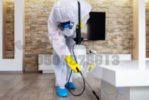 شركة مكافحة حشرات بالدمام